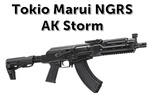 next-gen-ak-storm